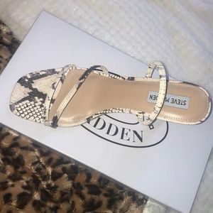 Steve Madden snake print heels